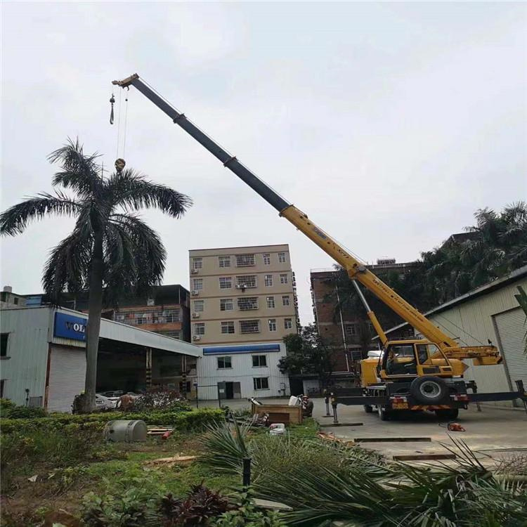 大田镇汽车吊出租多少钱？全面解析与市场行情